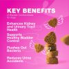 Dog UTI Treatment Chews 180 Bladder Control Cranberry Chews Cranberry Supplement Dog Incontinence Support