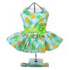 Pineapple Luau Dog Harness Dress